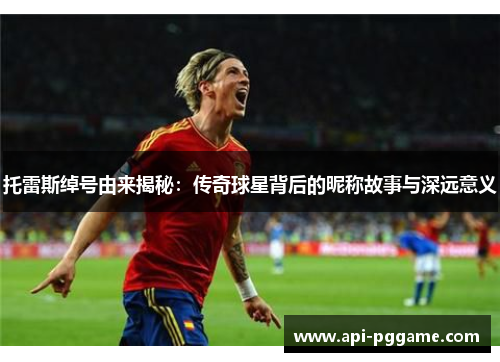 托雷斯绰号由来揭秘:传奇球星背后的昵称故事与深远意义 托雷斯绰号由来揭秘:传奇球星背后的昵称故事与深远意义