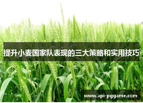 提升小麦国家队表现的三大策略和实用技巧