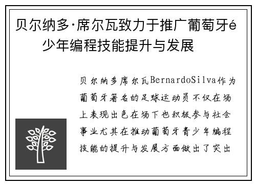 贝尔纳多·席尔瓦致力于推广葡萄牙青少年编程技能提升与发展
