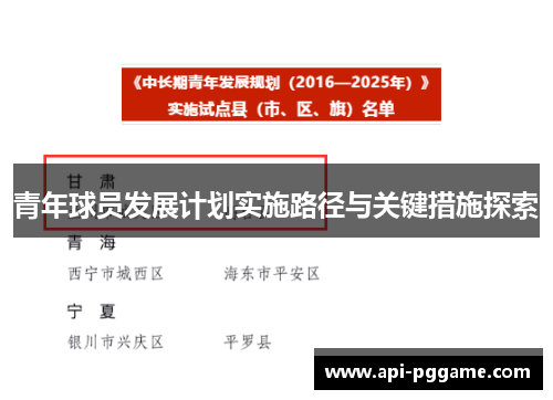 青年球员发展计划实施路径与关键措施探索